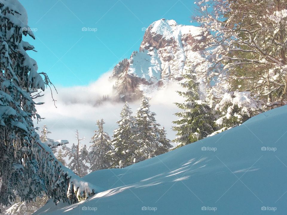 Beautiful winter landscape, snow covered the trees , white snow, winter in the mountains.