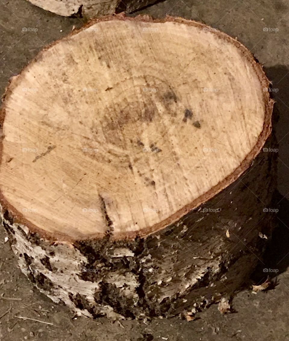 Tree stump