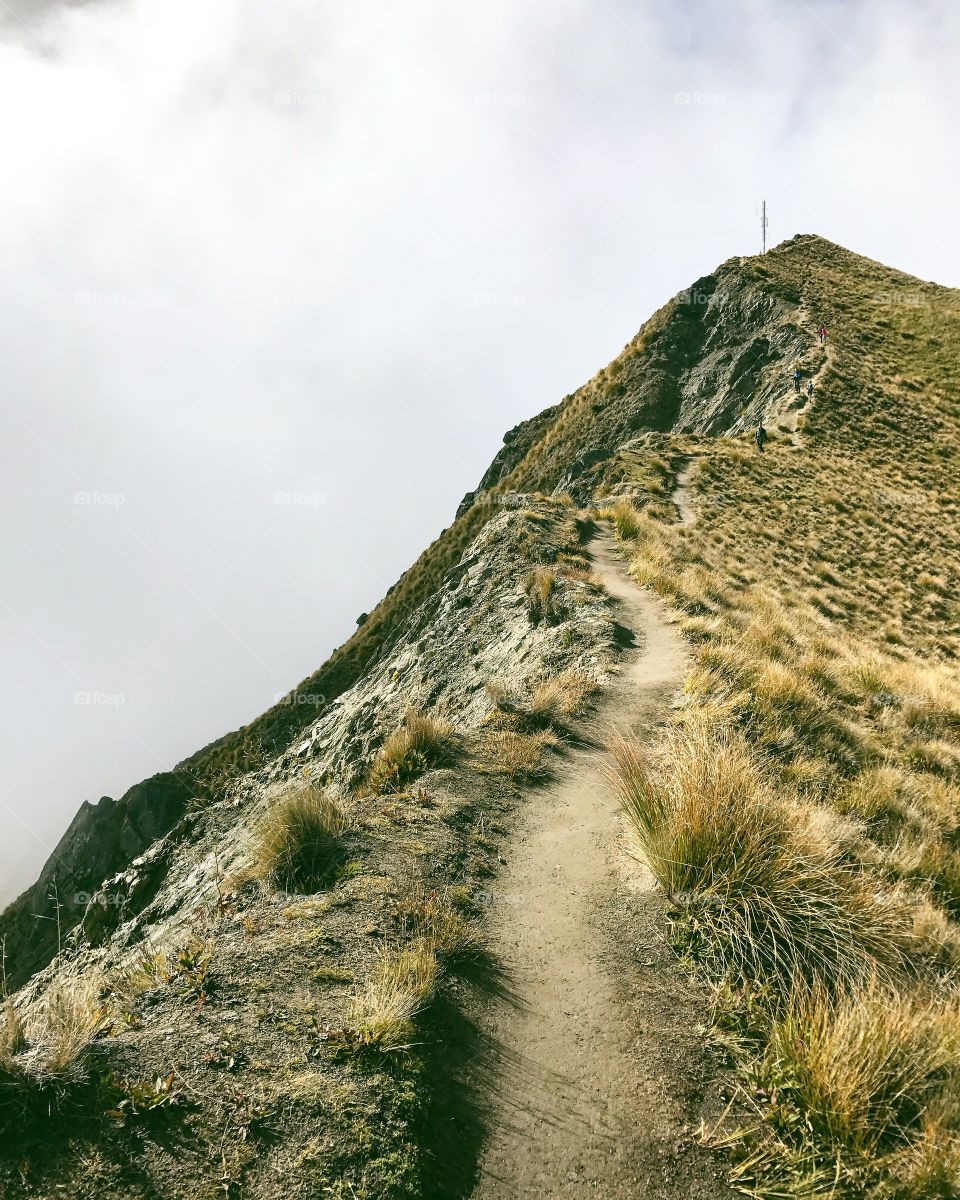 Ridge walks, New Zealand, February 2017