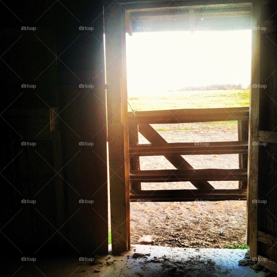 Barn gate to the pasture 