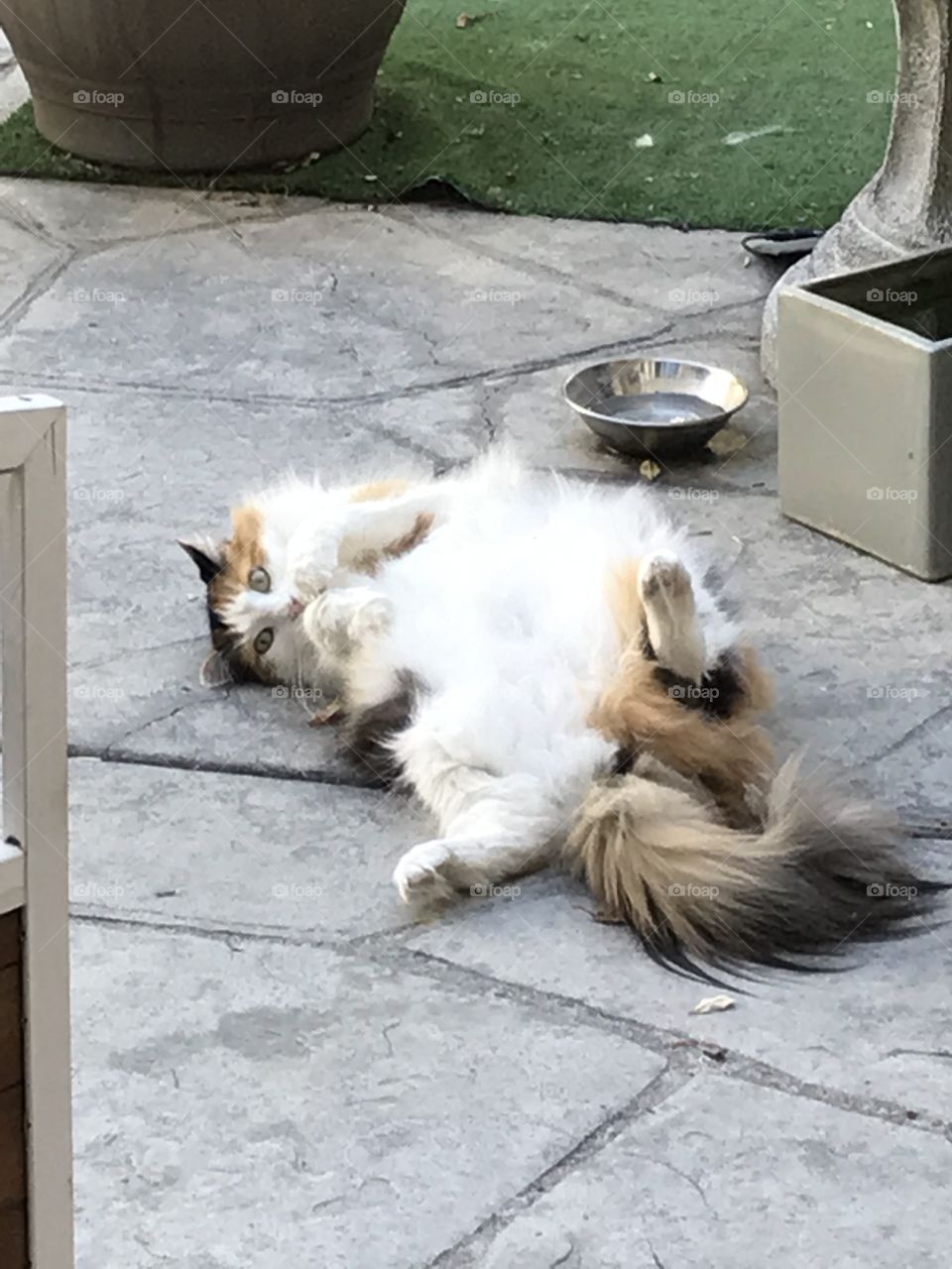 Relax! It’s fine out here!