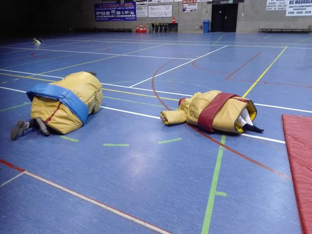 Sumo games
