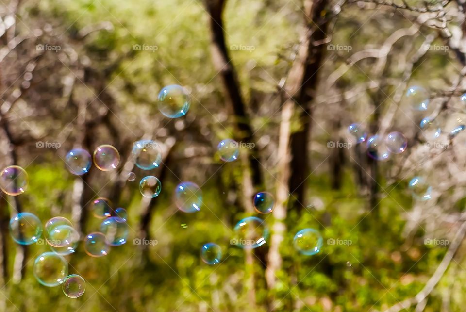 bubbles 