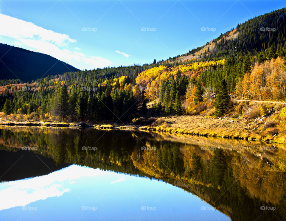 Autumn trees reflected on idyllic lake