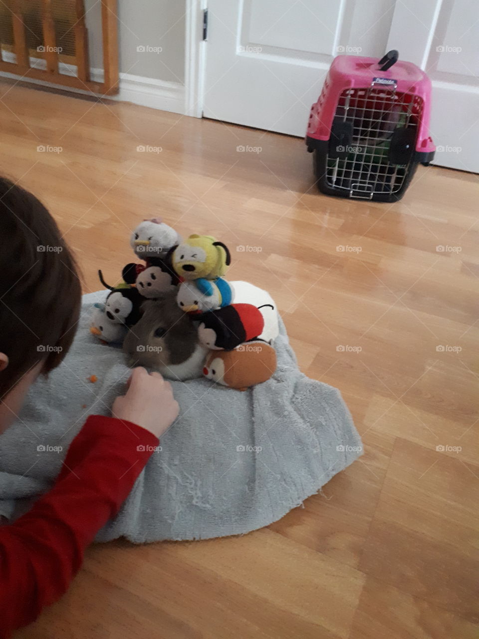 giant zoom zoom ( guinea pig in the middle)