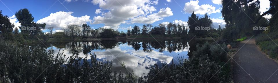 Cloudy Day Pond. Gloomy with bright clouds 