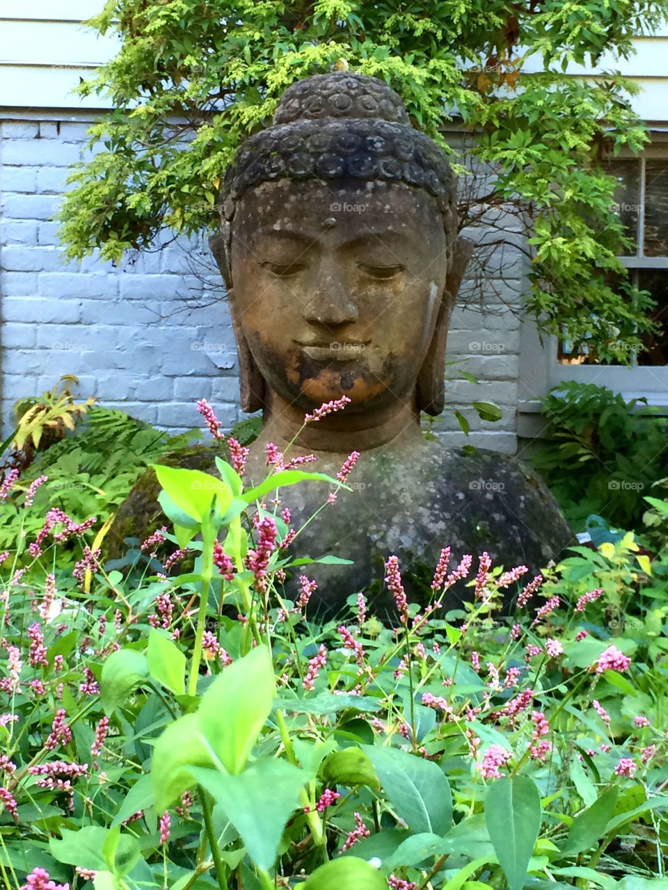 Face in the Garden. A lovely sculptured face looks over this garden.