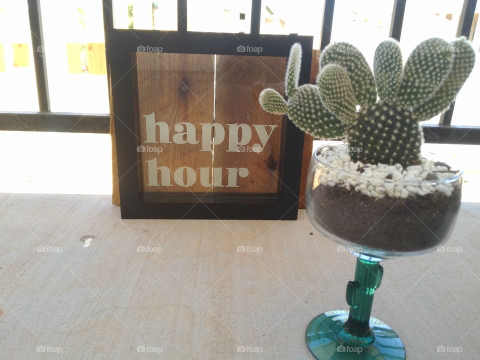 cactus succulent in margarita glass on wood bord and a gray wall lit up