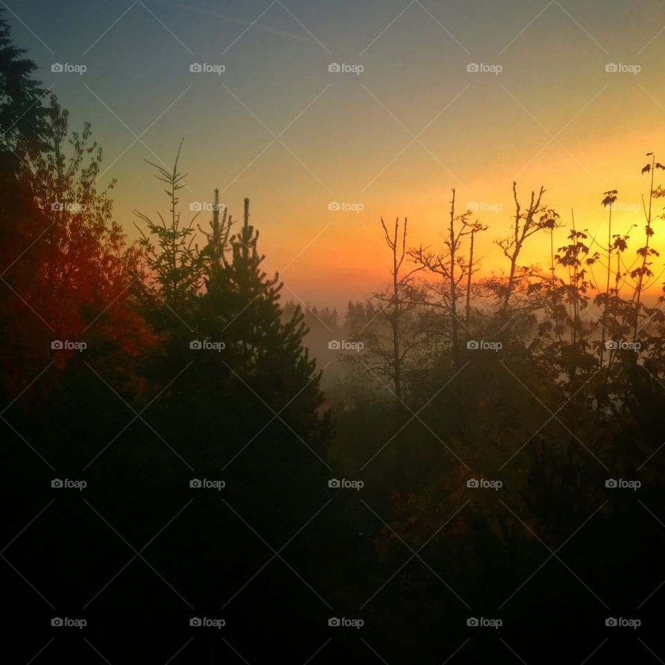 Kitsap Autumn Sunrise 