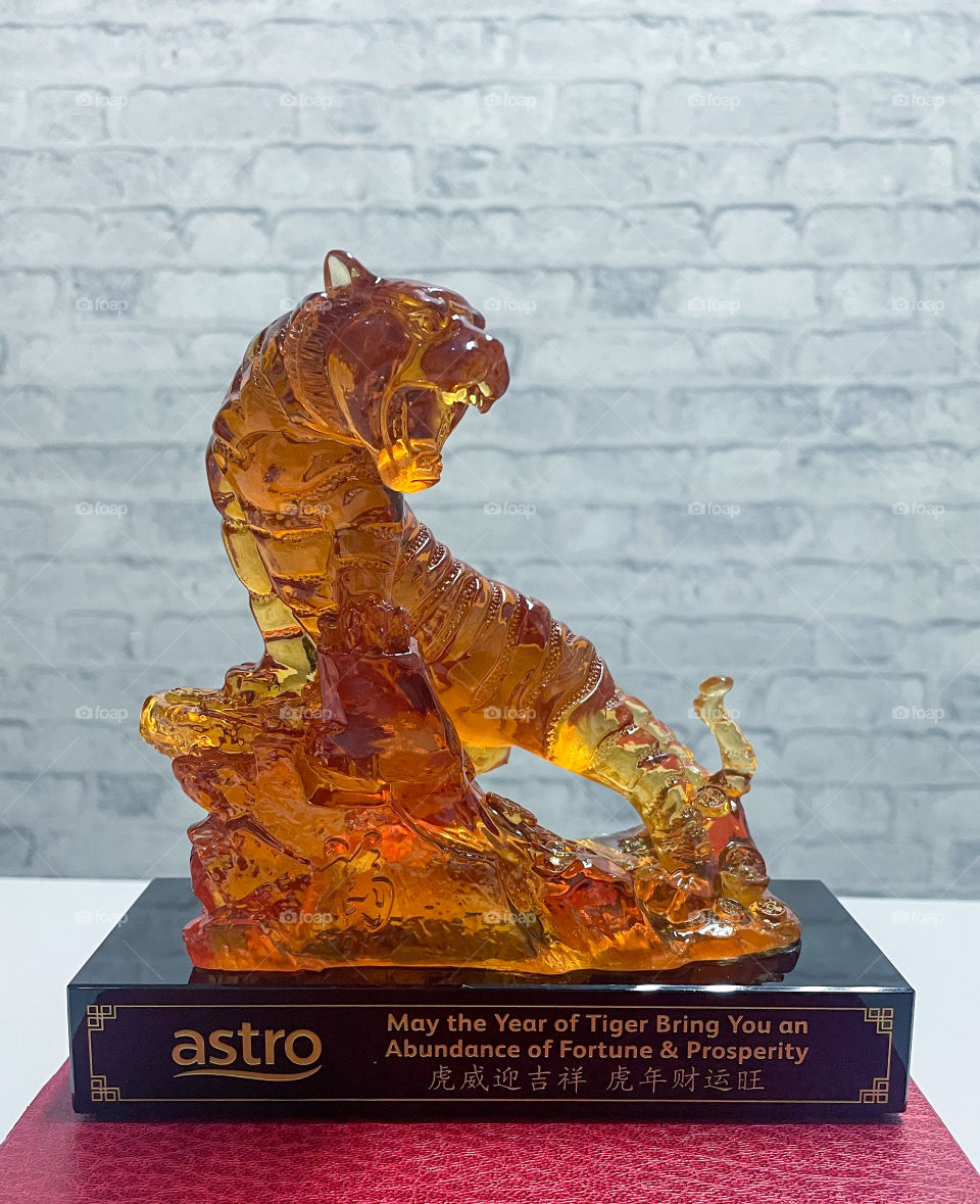 Astro#tiger#2022#