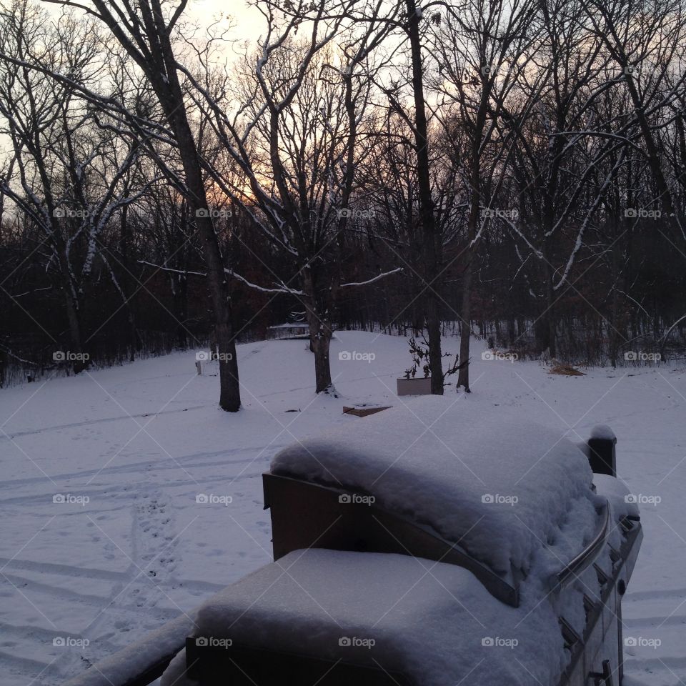 winter in Minnesota