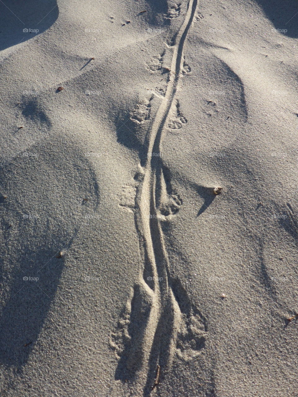 Sand tracks