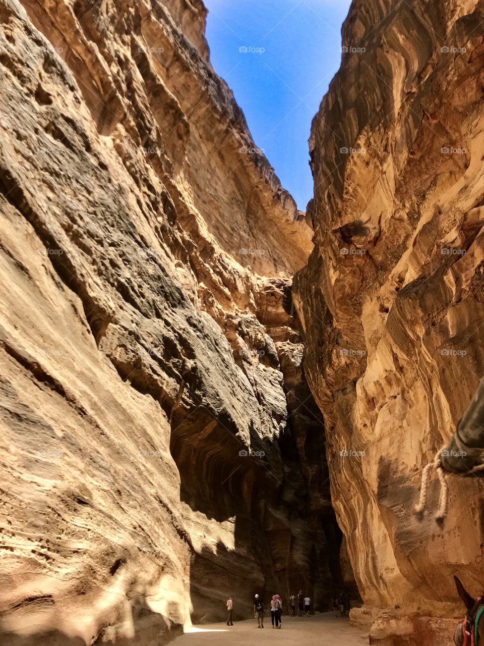 The passage in the rocks. Ancient city. Petra. Jordan