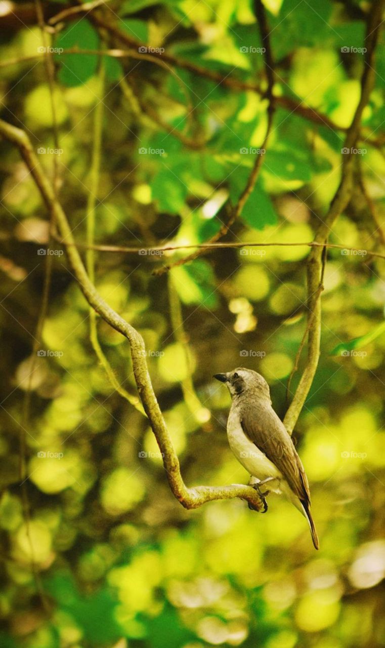 Watching nature can open the door to a perfect life