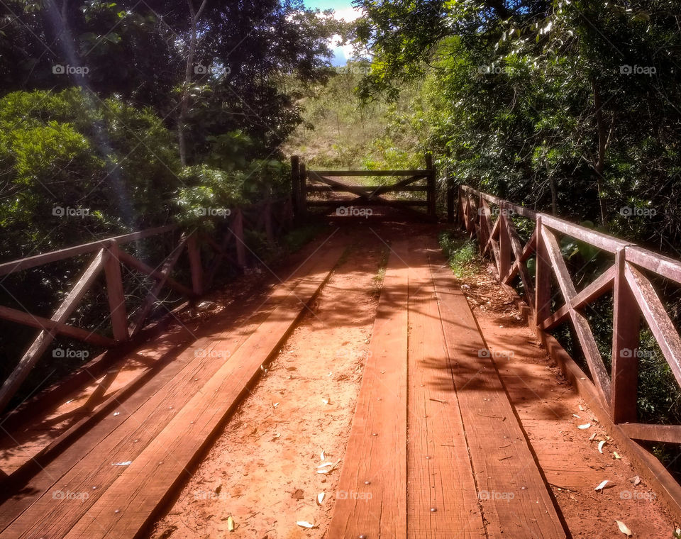 wooden bridge with gate to the background in the middle of the forest