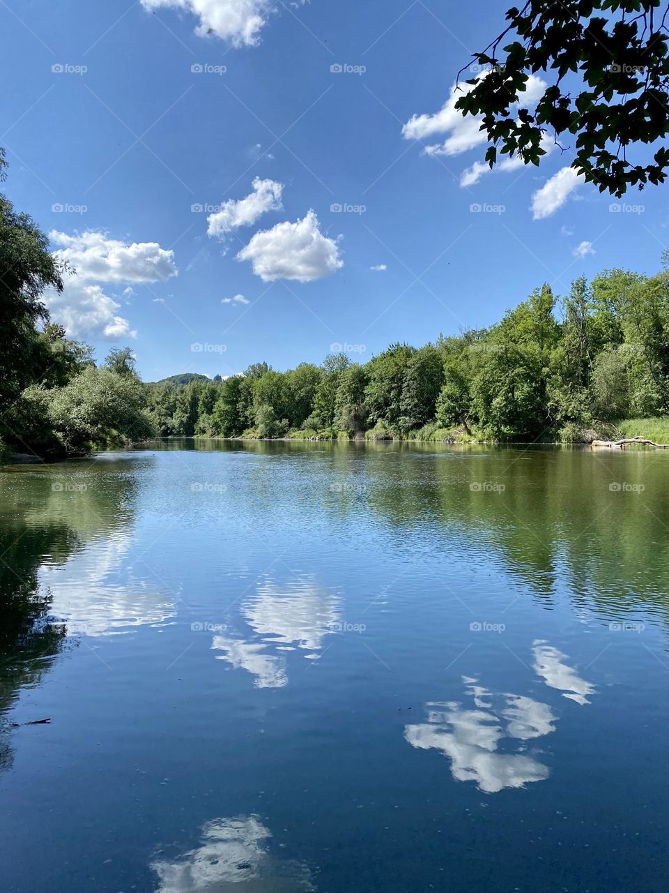 water landscape grass and clouds