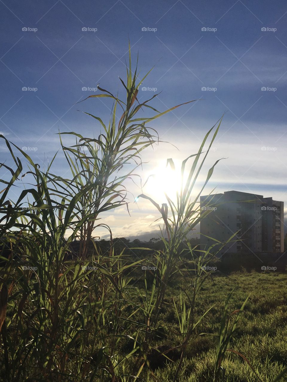 06h00 em um clique sem filtros. Desperte, cidade de Jundiaí / Brasil, pois uma manhã bem clara e bonita surgiu. Que a 3a feira possa valer a pena! Tuesday Morning with sun!