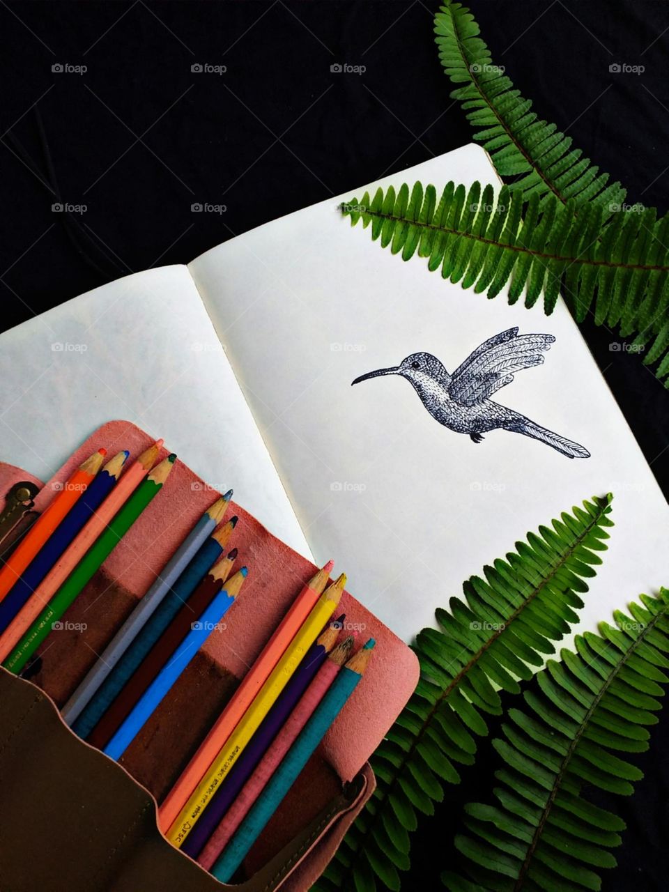 Colorindo o delicado beija-flor.