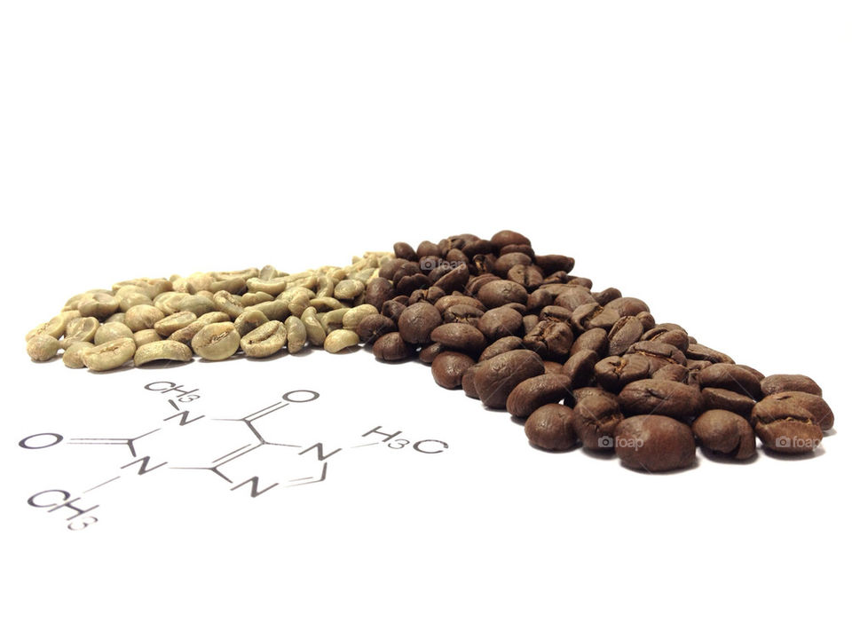 dubai plant seeds coffea by rygod
