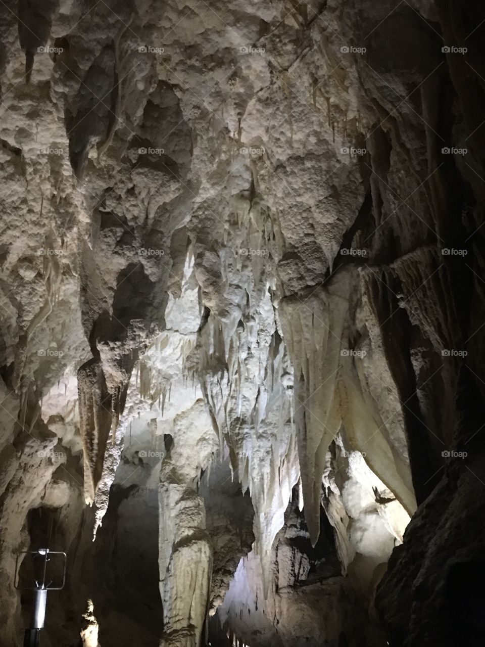 Stalagmites in Waitomo Glow Worm Cave New Zealand 