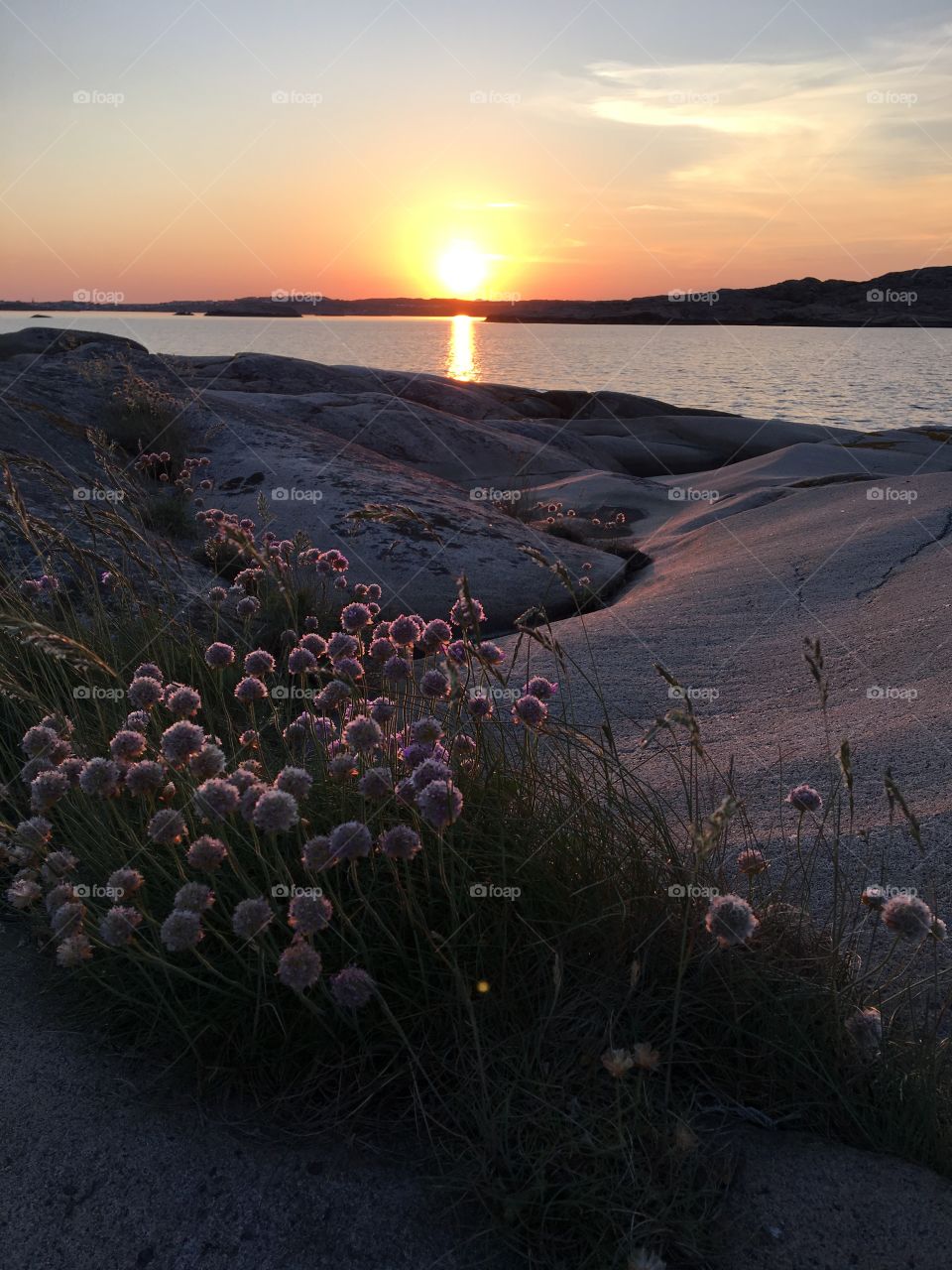 Scenic view of sea