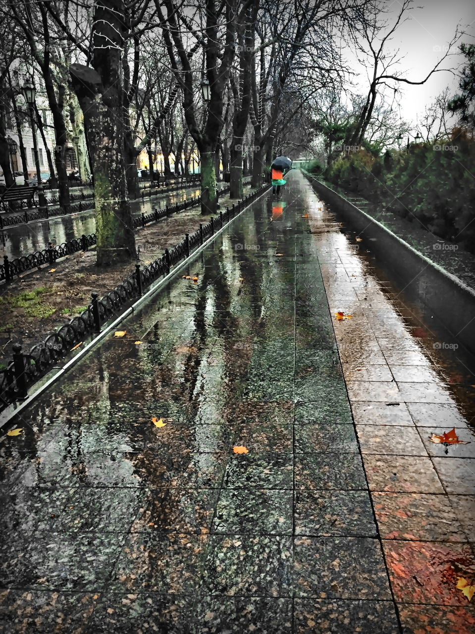 Something similar to winter, but not completely yet...

I’d like some snow...
