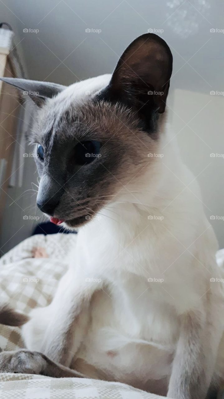 “Mmmmm... wonder what’s on the menu this morning?