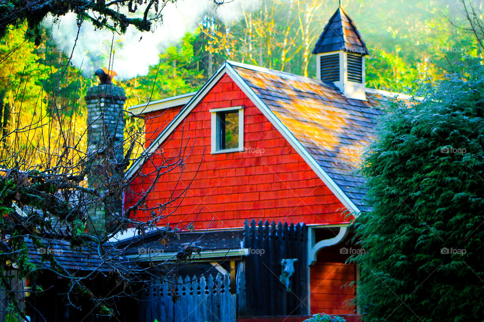 I love the colours on this little old cedar shake house with its red siding & grey roof & smoking chimney. The golden angled winter sun produces beautifully coloured highlights & shadows as the winter sun peeks through surrounding trees. Beautiful! ❤️