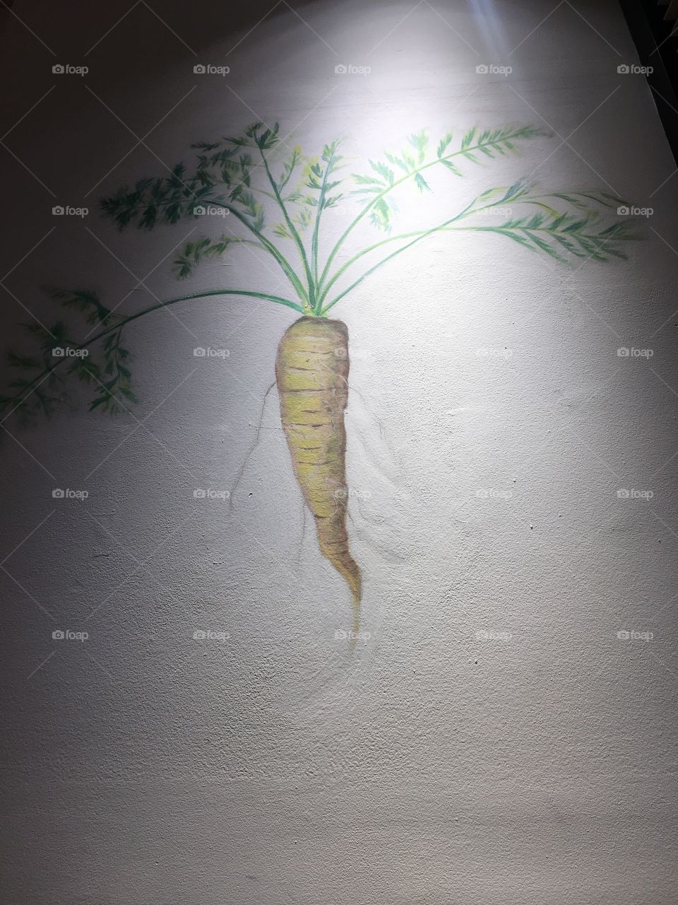 Spotlight on nice carrot drawing on the wall