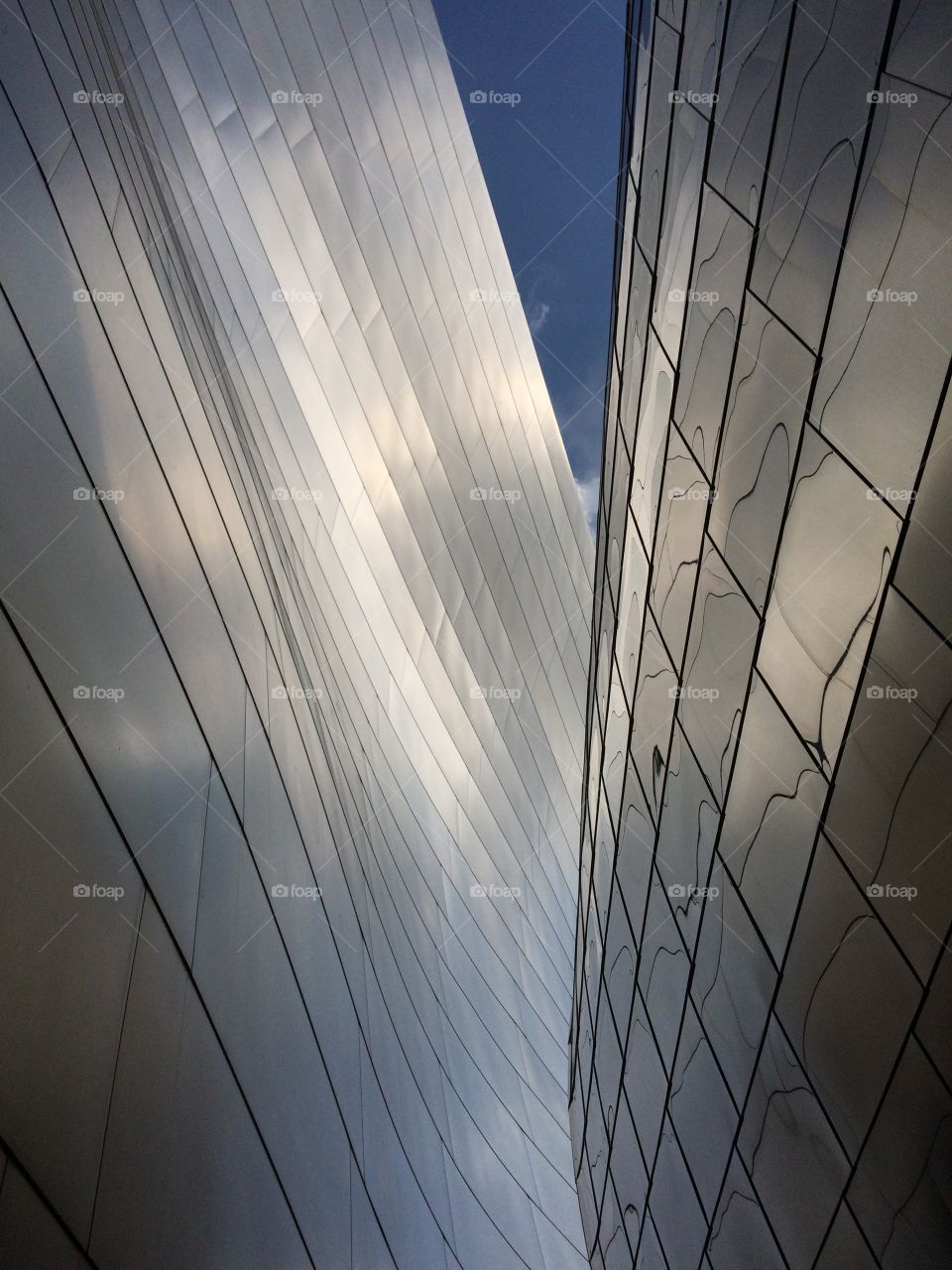 This is a photo I took outside of the Walt Disney Concert Hall in downtown L.A.