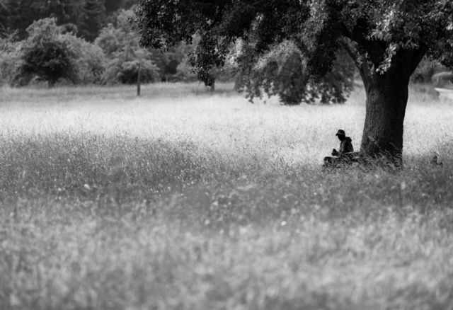 alone