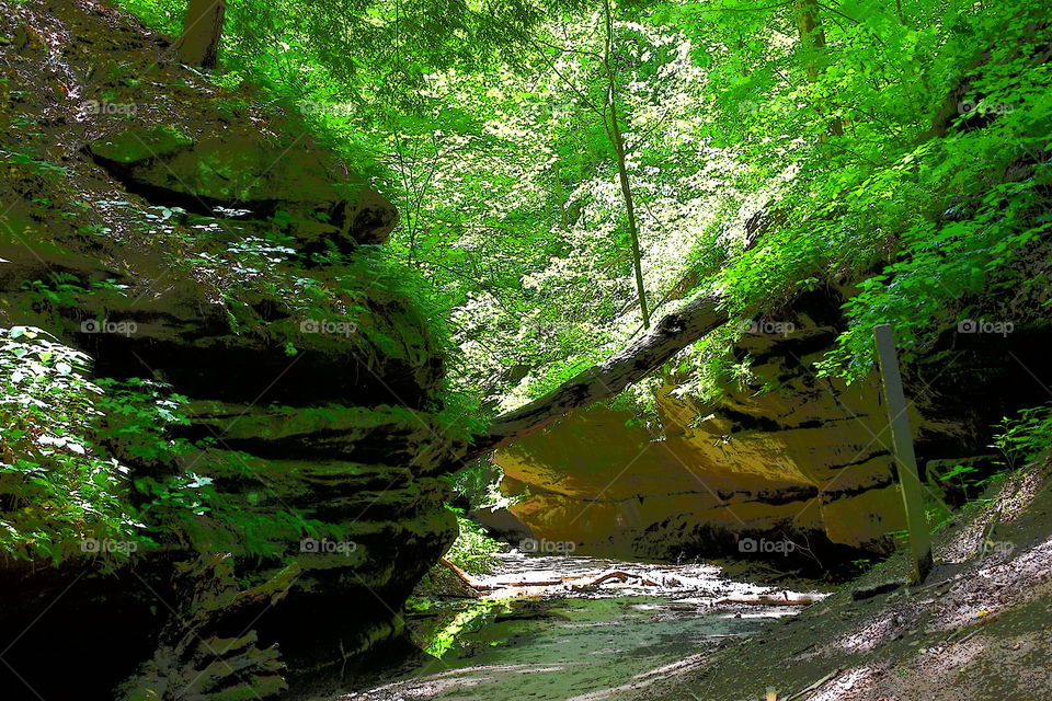 Hike thru the woods in turkey run state park in Indiana 