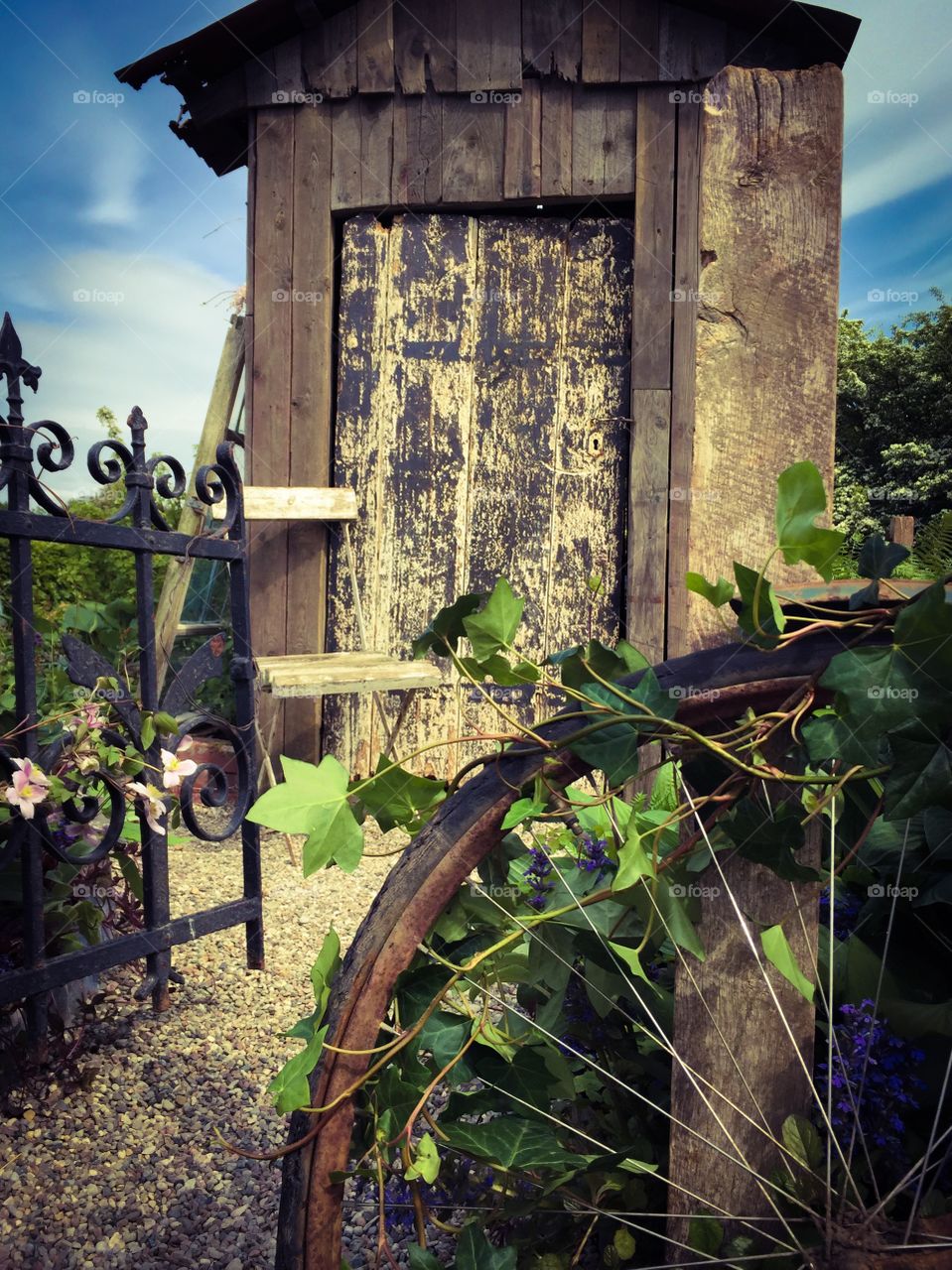 Rural living . Rural vintage garden with wood iron and plants 