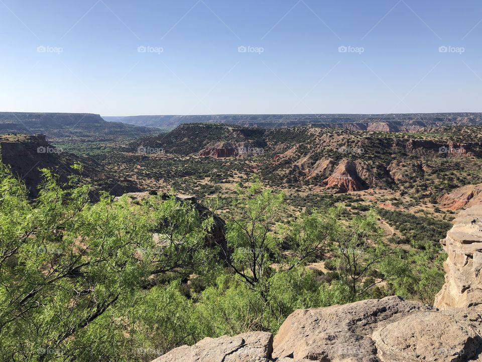 A scenic New Mexico canyon vista in the summer