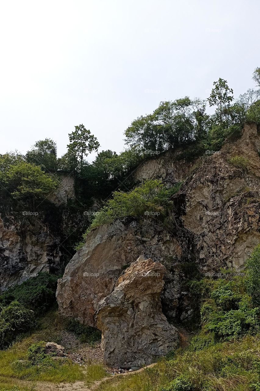 rock cliffs overgrown with several trees and bushes