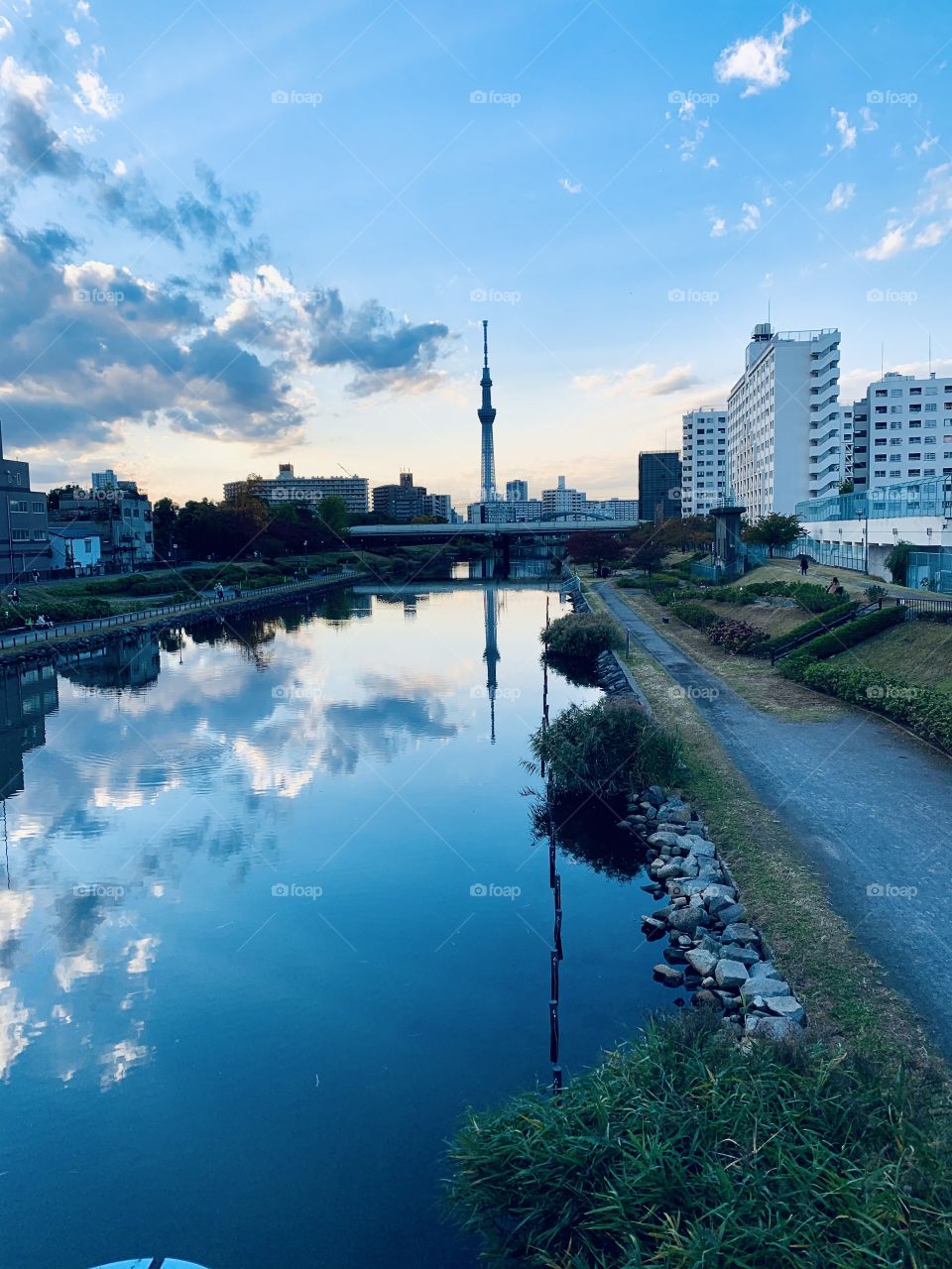 Late afternoon by the river 