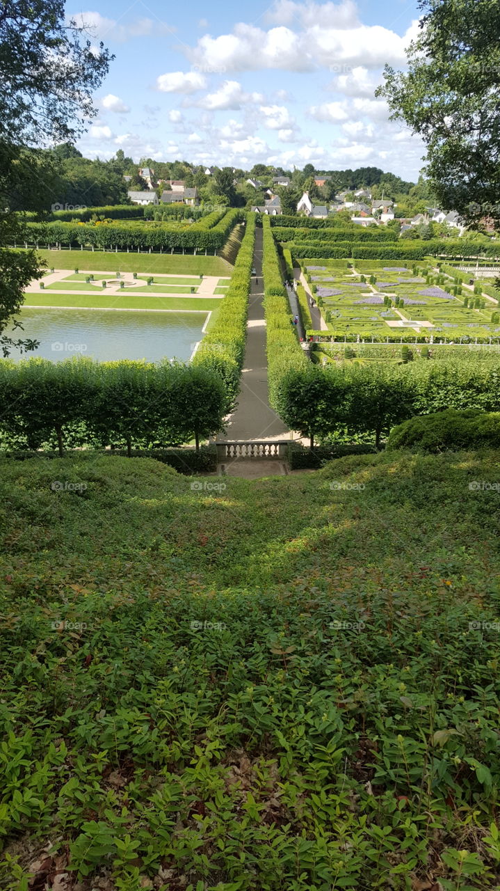 French garden