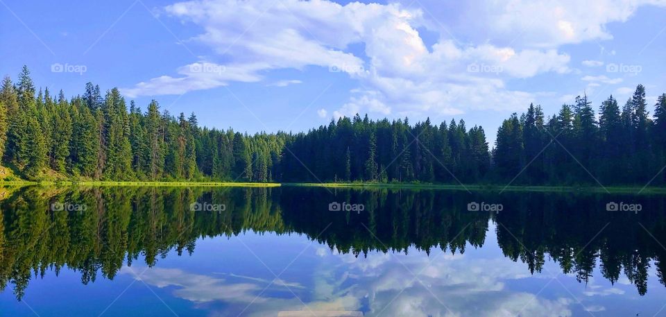 Reflection of the sky and trees in the lake .