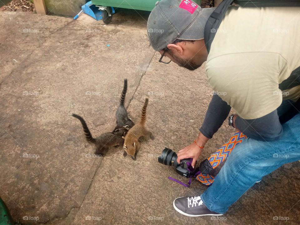 Photographer recording the presence of three small animals in Foz do Iguaçú.