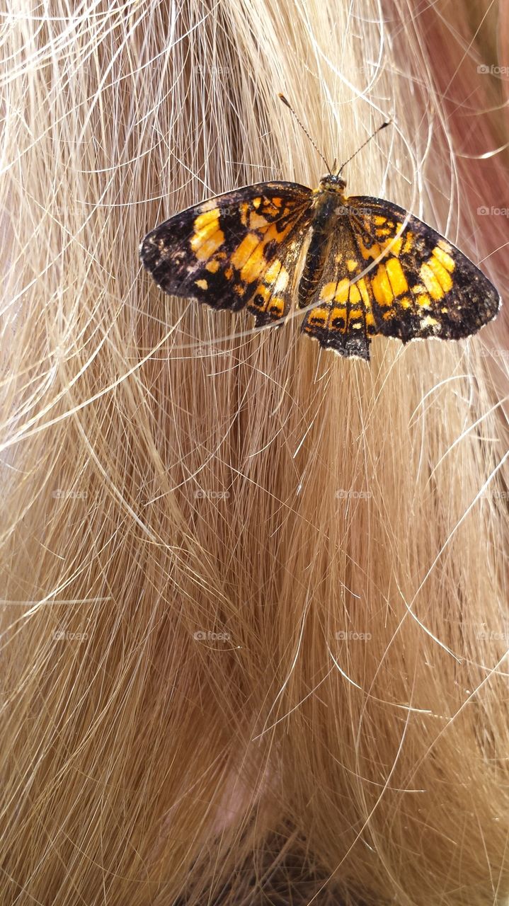 Butterfly hairpiece