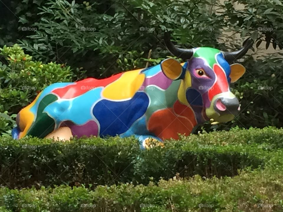 Multi-colored cow at Zurich hotel