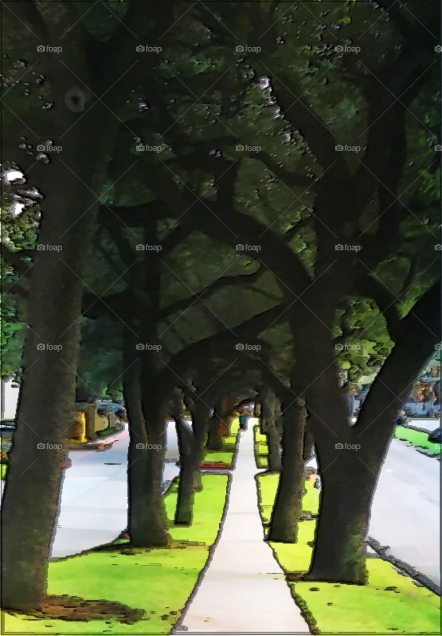 Trees 