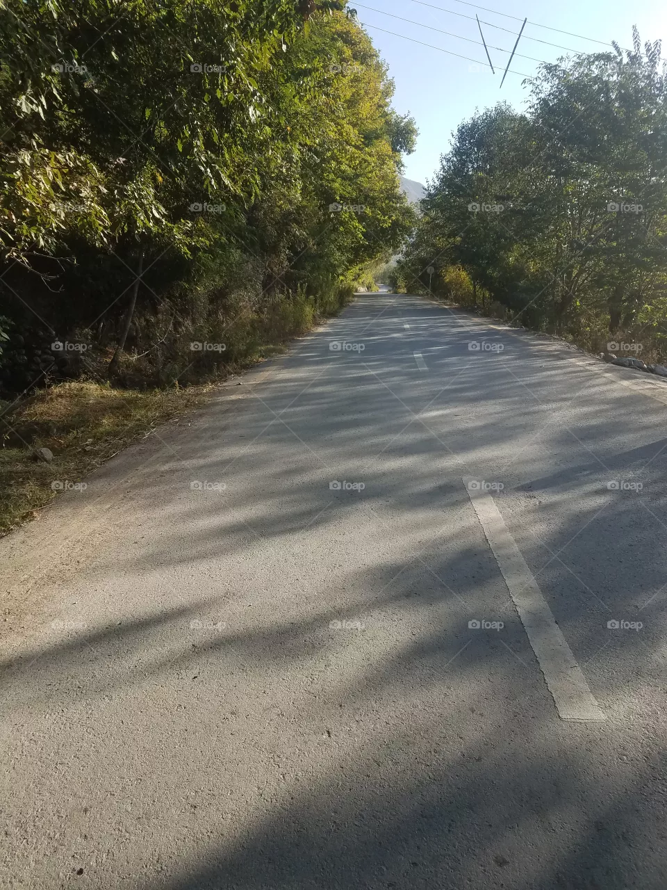 green road