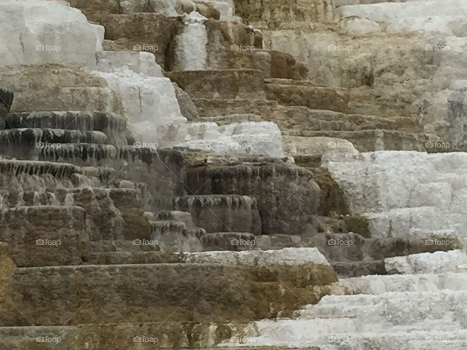 Mammoth hot springs 