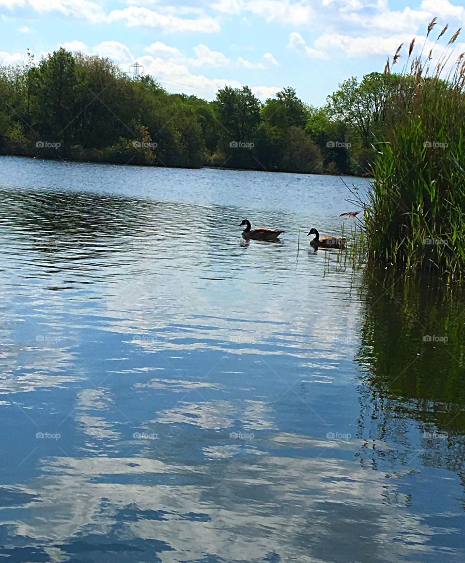 Glorious day at the lake