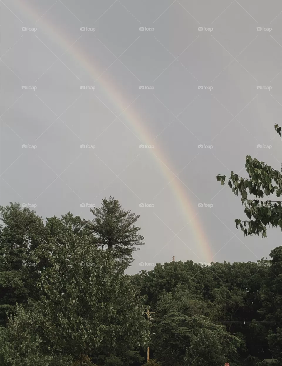 Rainbow summer rain 