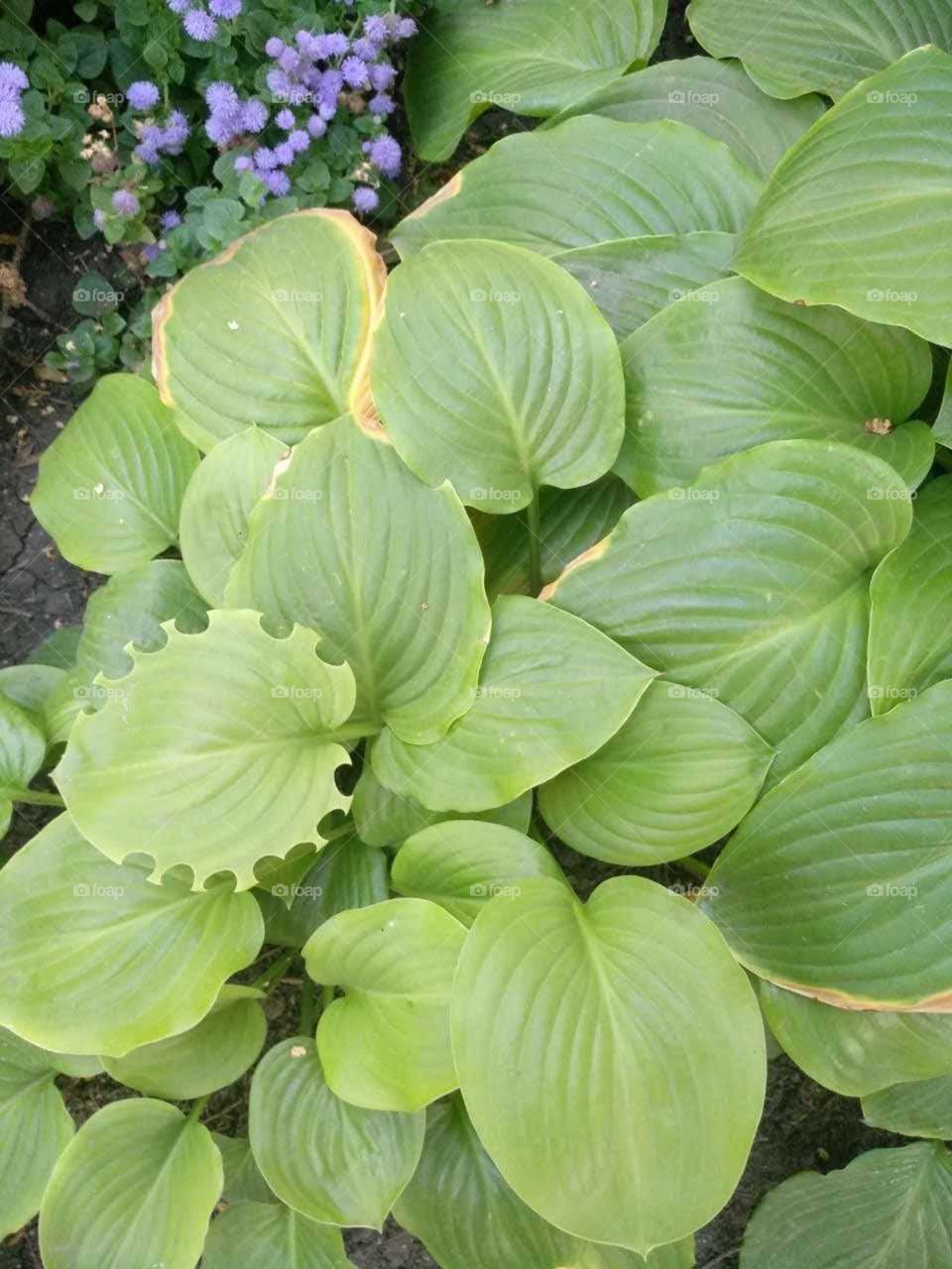 я не хочу быть как все. я хочу выделяться.