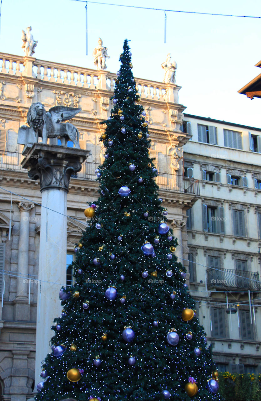 Christmas tree in Verona