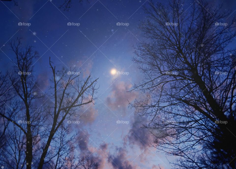 Beautiful Night Sky fantasy