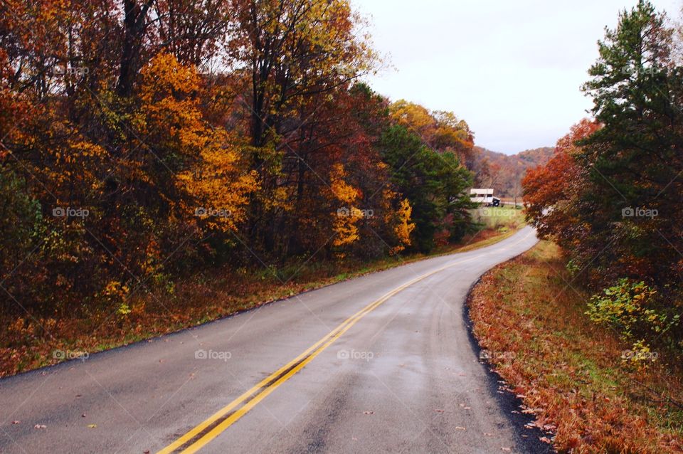 Fall road 